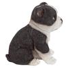 Design Toscano Boston Terrier Puppy Partner Collectible Dog Statue JQ11232